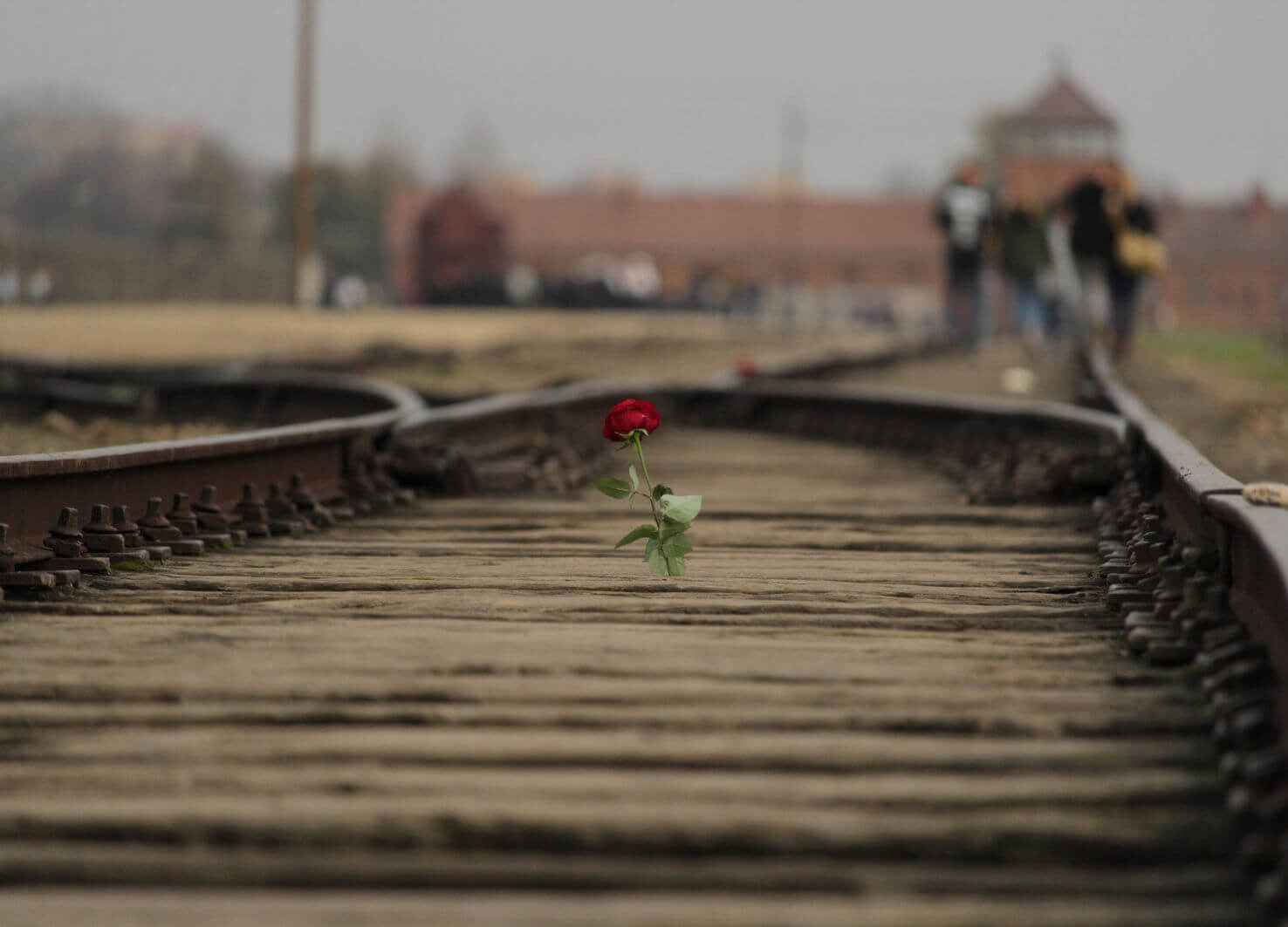Auschwitz II Birkenau - voormalig vernietigingskamp