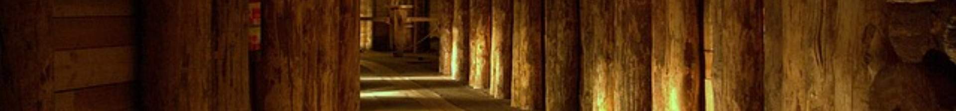 Salt Mines