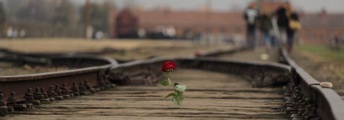 The Birkenau Ramp: Site of Selection and Silent Witness