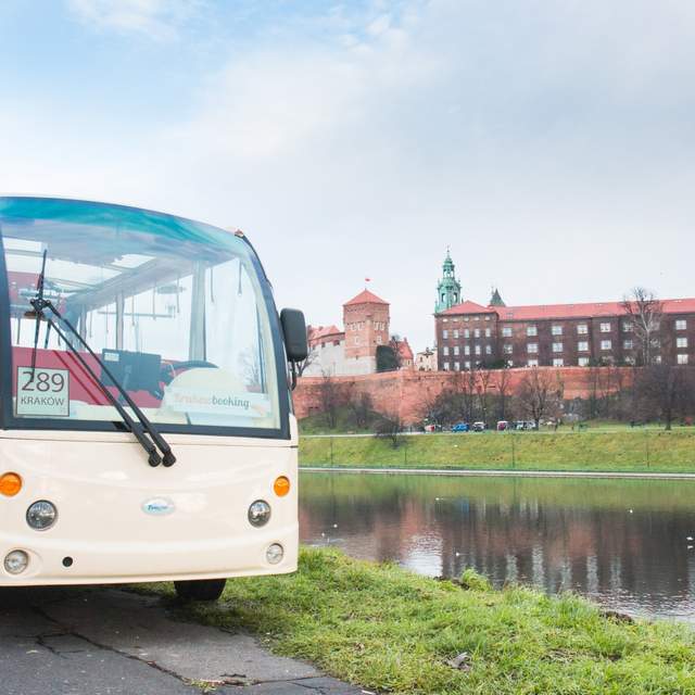 Cracovia: tour in auto elettrica