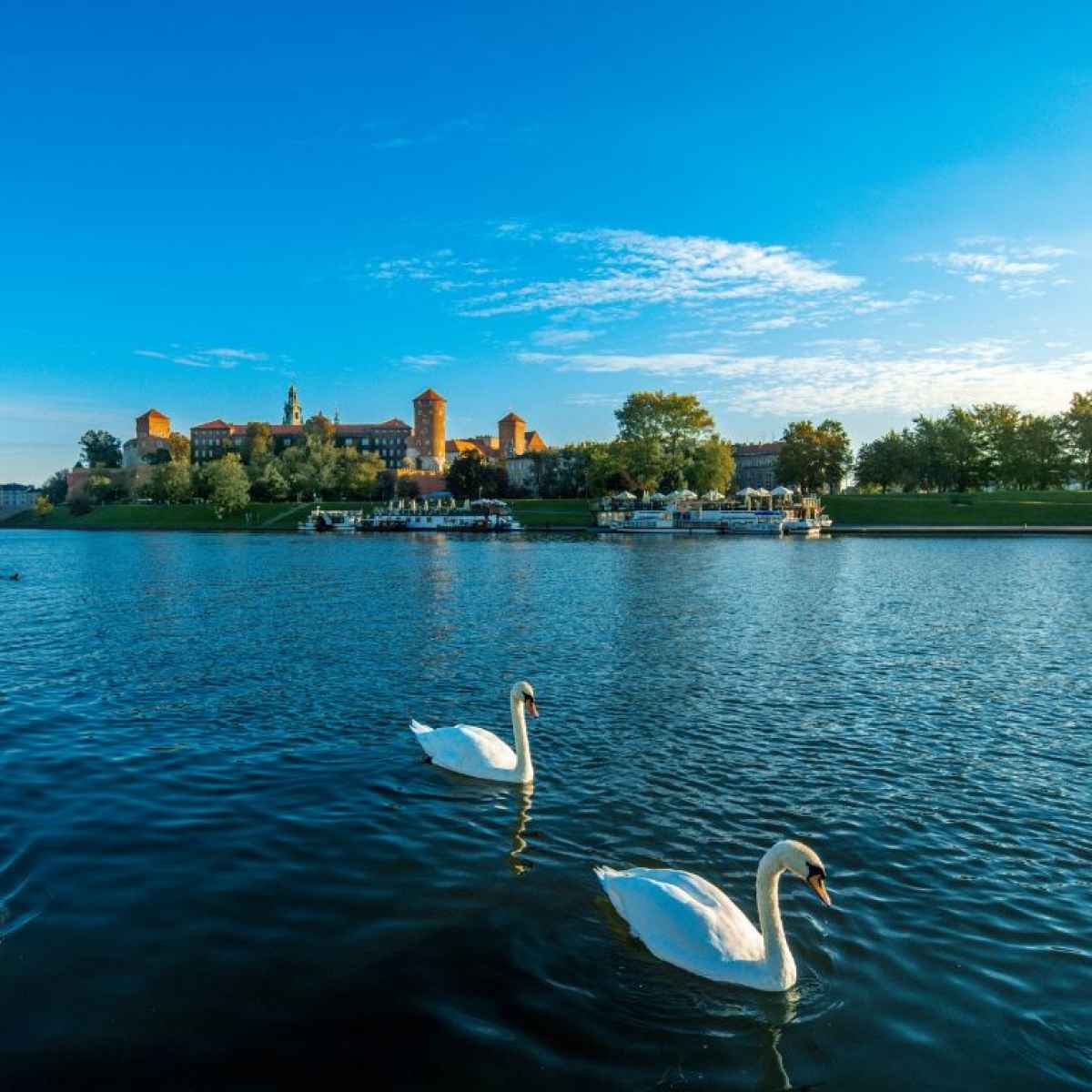 Krakow elvecruise på Vistula