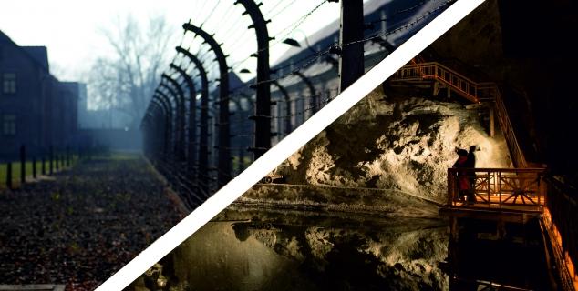 Auschwitz-Birkenau, Wieliczka Salt Mine One-Day Tour from Krakow