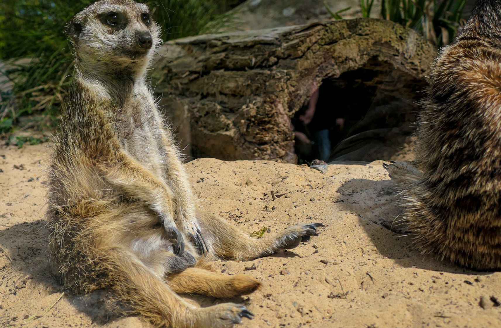 Krakow Zoo