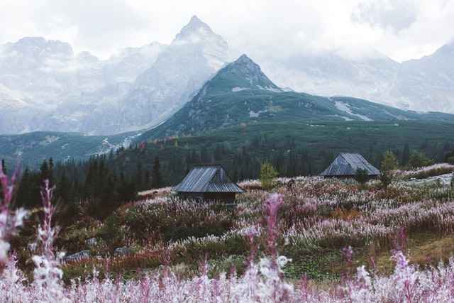 Zakopane