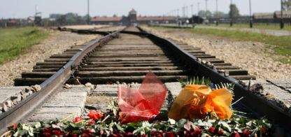Commemorating the 79th Anniversary of the Liquidation of the Romani Camp in Auschwitz