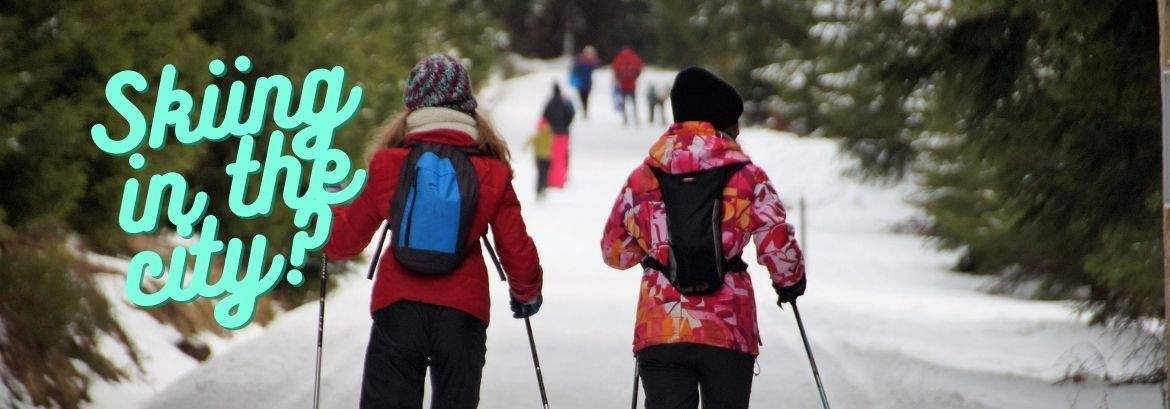 Skiing in the city? Four cross-country skiing routes are being built in Krakow