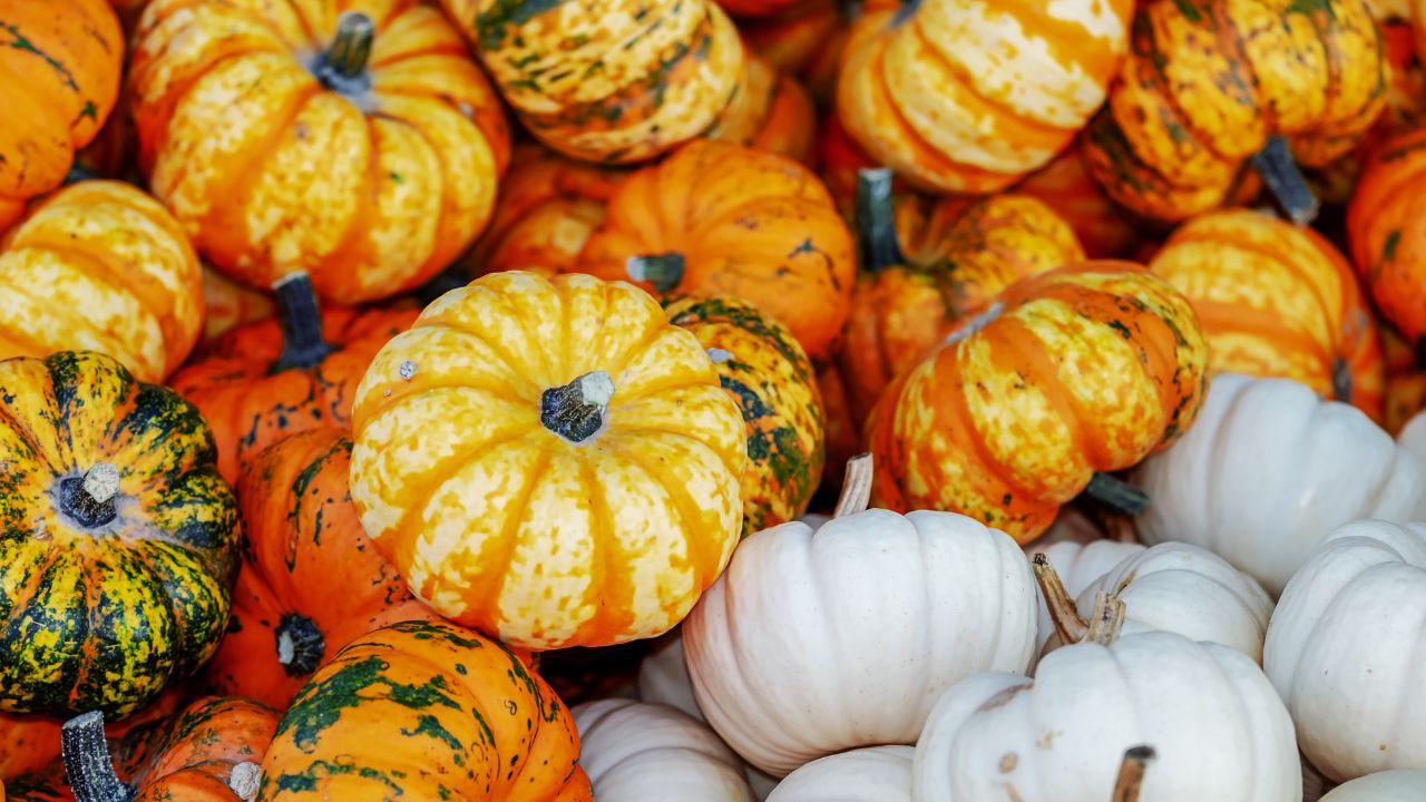 Sampling Regional Cuisine
At this time of year, dishes featuring pumpkin, mushrooms, and other seasonal ingredients reign supreme. Visit local restaurants and discover the flavors of Malopolska in full bloom.